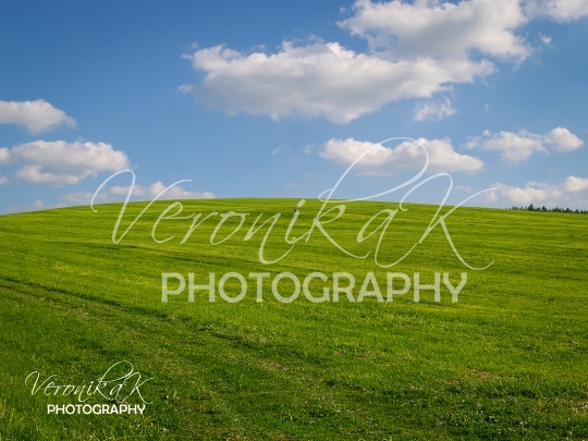 PORTFOLIO (10)